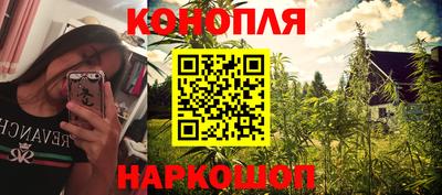 бошки Будённовск