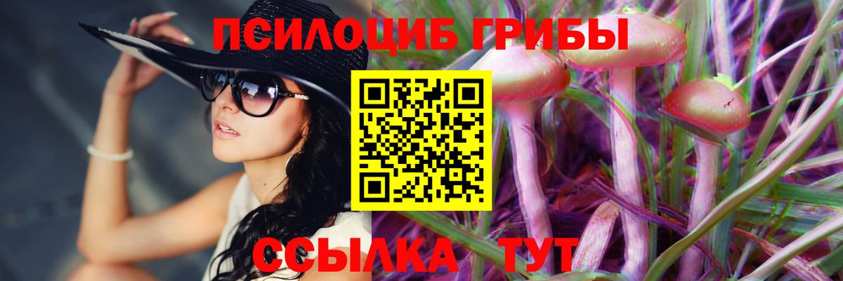 Галлюциногенные грибы Psilocybe  Вход с VPN  Сосновоборск 